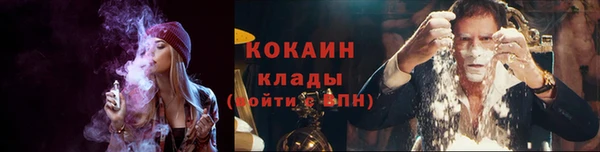крисы Бугульма