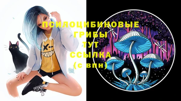 гашик Богородск