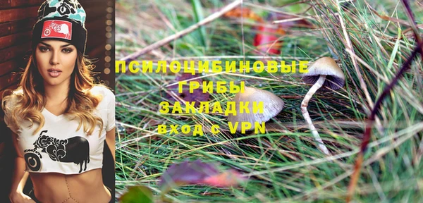 COCAINE Богородицк